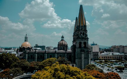 Odontología en Guadalajara